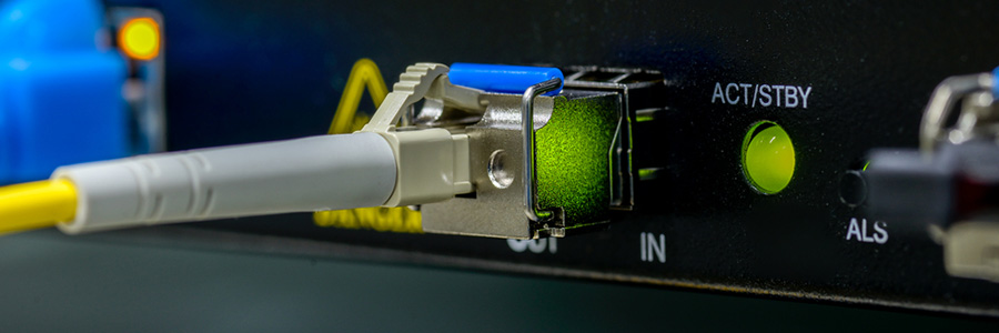 Future Looks Bleak for Traditional Switch and Router Market